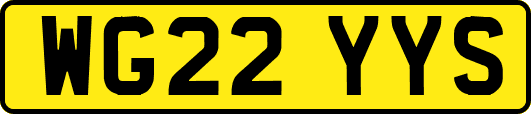 WG22YYS