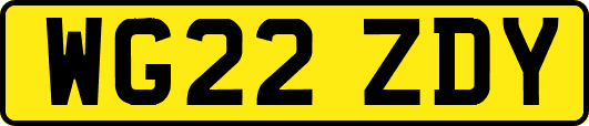 WG22ZDY