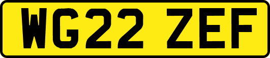 WG22ZEF