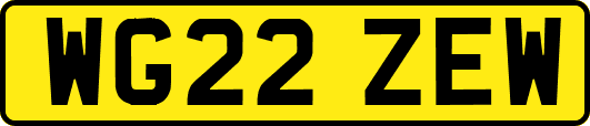 WG22ZEW