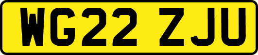 WG22ZJU
