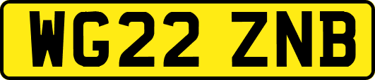 WG22ZNB