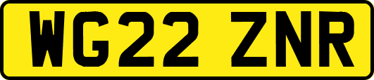 WG22ZNR