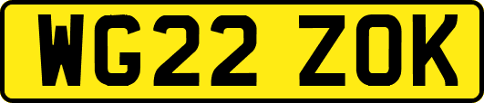 WG22ZOK