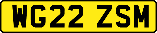 WG22ZSM