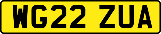 WG22ZUA