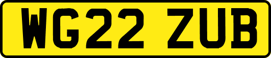 WG22ZUB