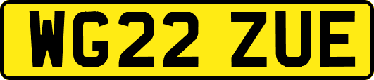 WG22ZUE