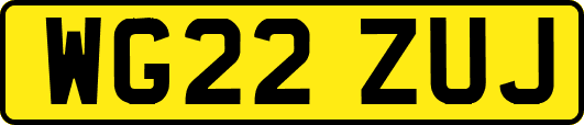 WG22ZUJ