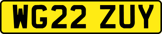 WG22ZUY