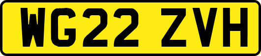 WG22ZVH
