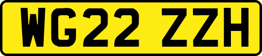 WG22ZZH