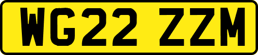 WG22ZZM