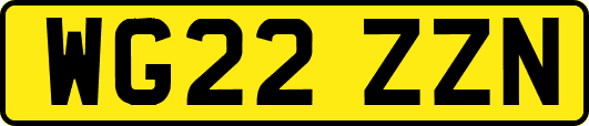 WG22ZZN