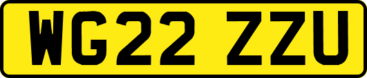 WG22ZZU