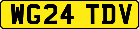 WG24TDV