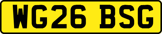 WG26BSG