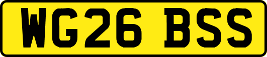 WG26BSS