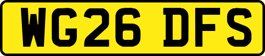 WG26DFS