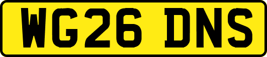 WG26DNS