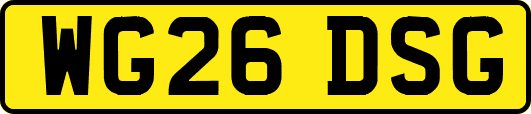 WG26DSG