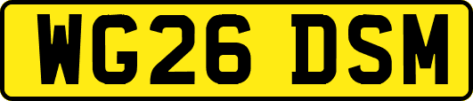 WG26DSM