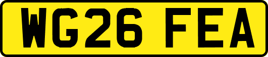 WG26FEA