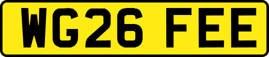 WG26FEE