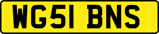 WG51BNS