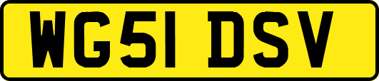 WG51DSV