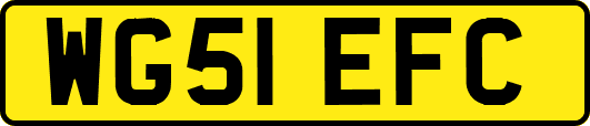 WG51EFC