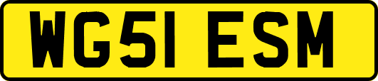 WG51ESM