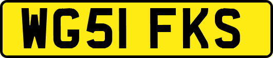 WG51FKS