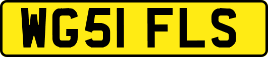 WG51FLS
