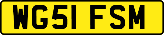 WG51FSM