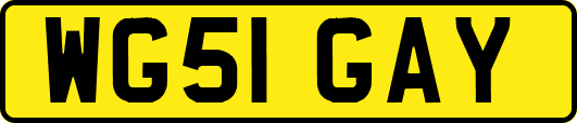 WG51GAY