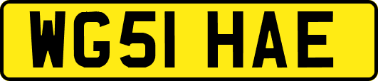 WG51HAE