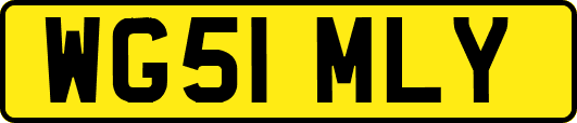 WG51MLY