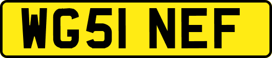 WG51NEF