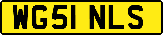 WG51NLS