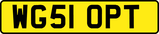 WG51OPT