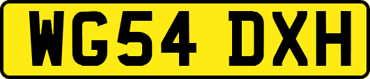 WG54DXH
