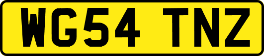 WG54TNZ