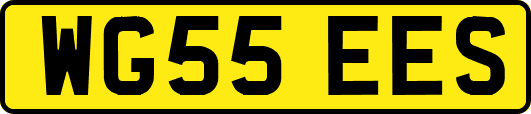WG55EES