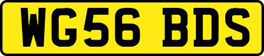 WG56BDS
