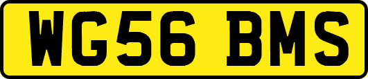 WG56BMS