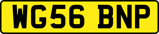 WG56BNP
