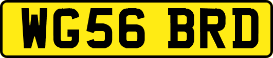 WG56BRD