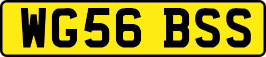 WG56BSS