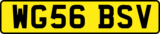 WG56BSV